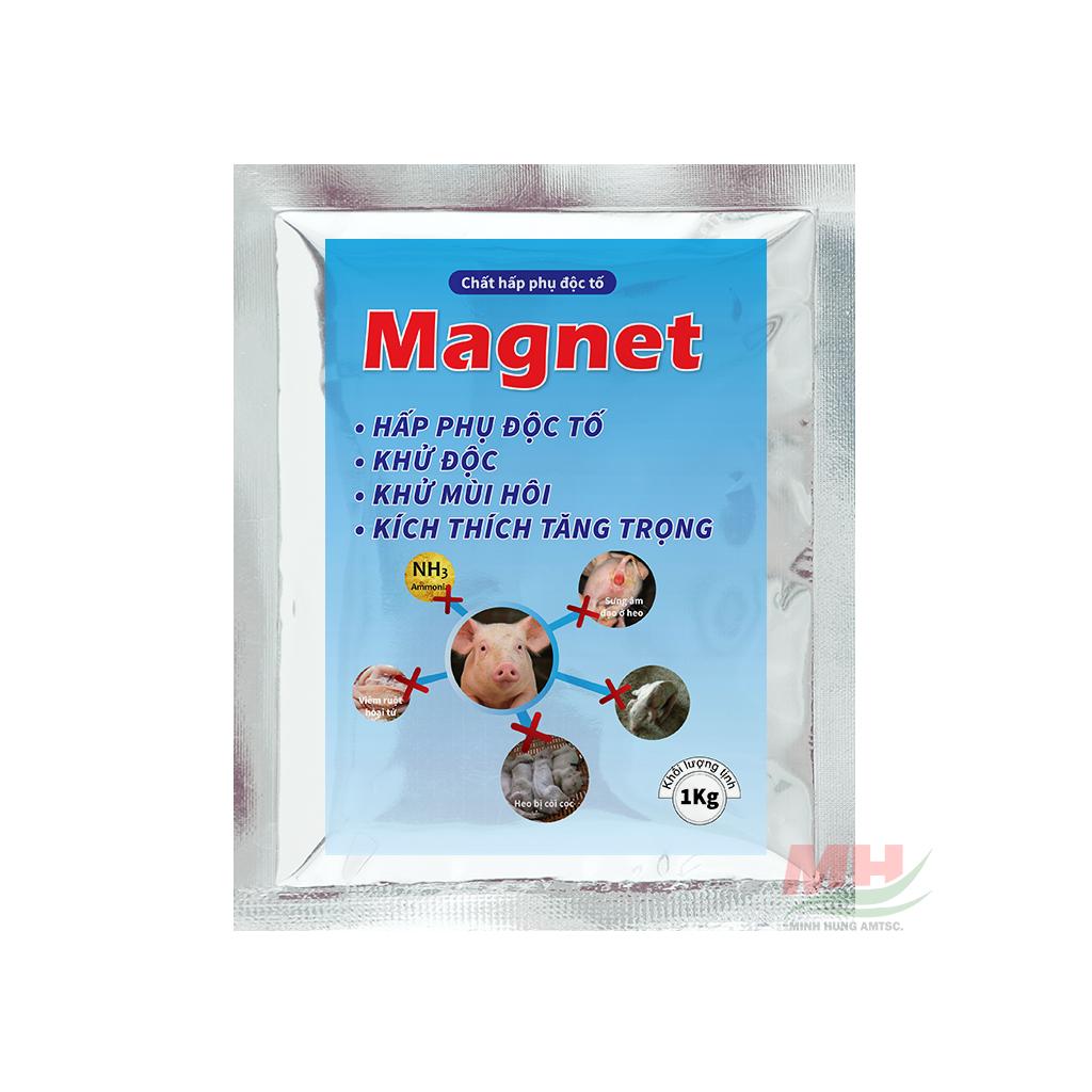Magnet