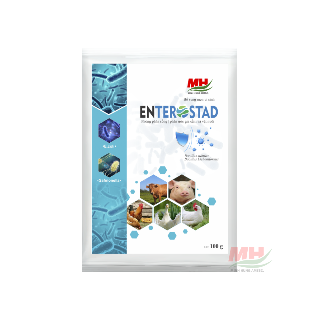 ENTEROSTAD