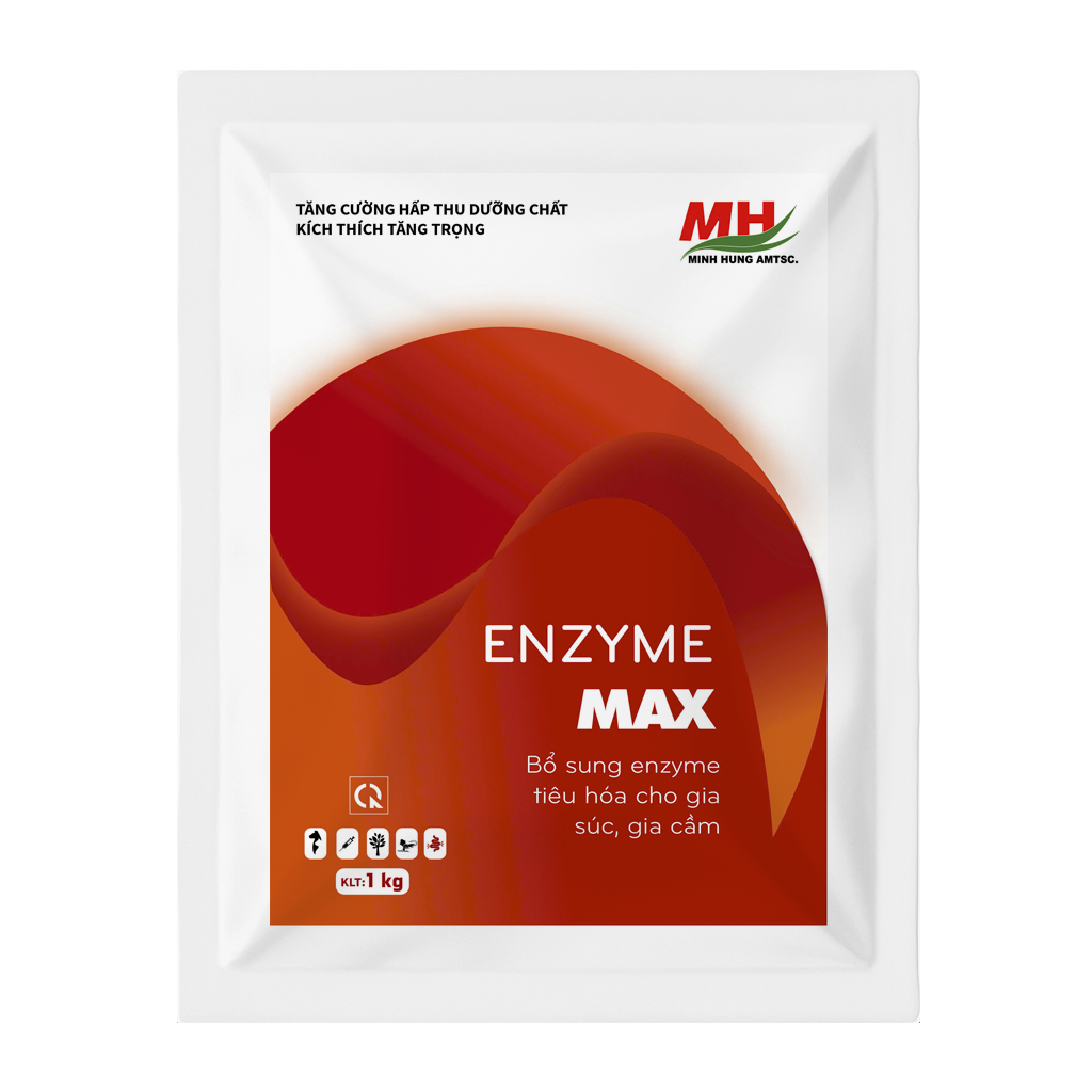 ENZYME MAX