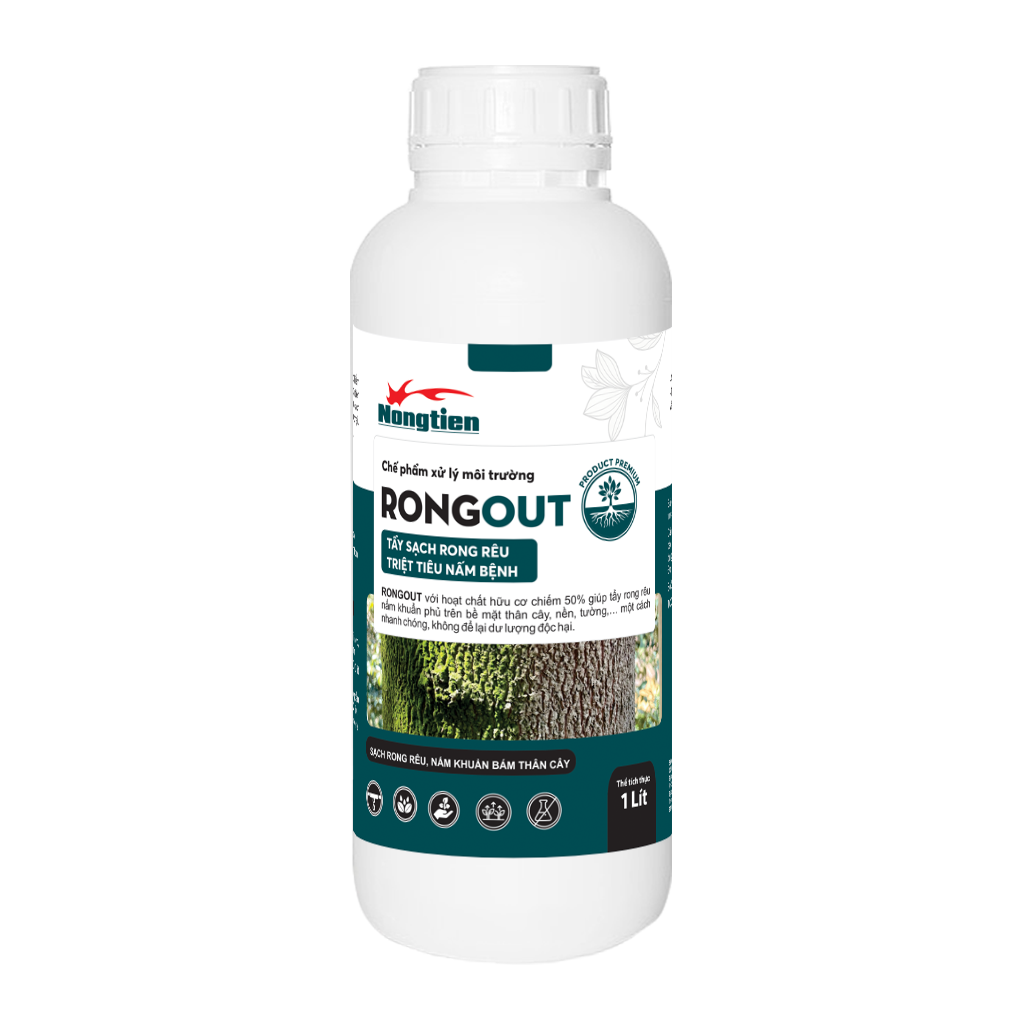 RONGOUT