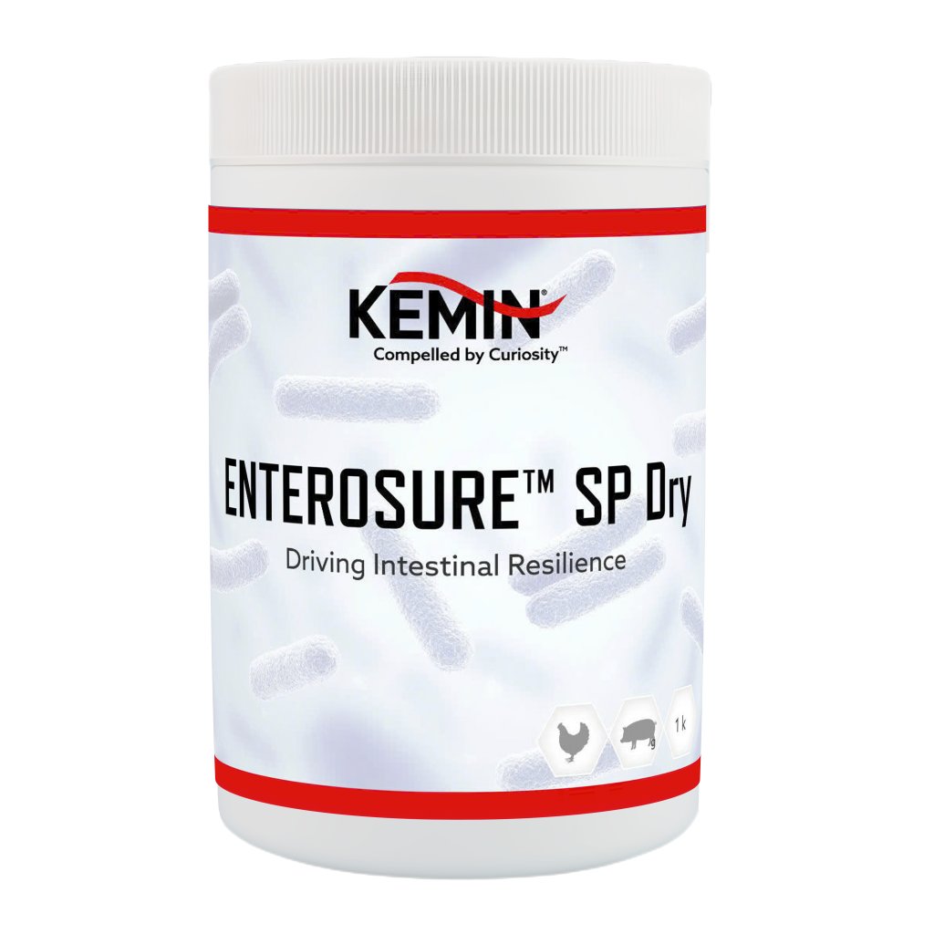 ENTEROSURE SP DRY