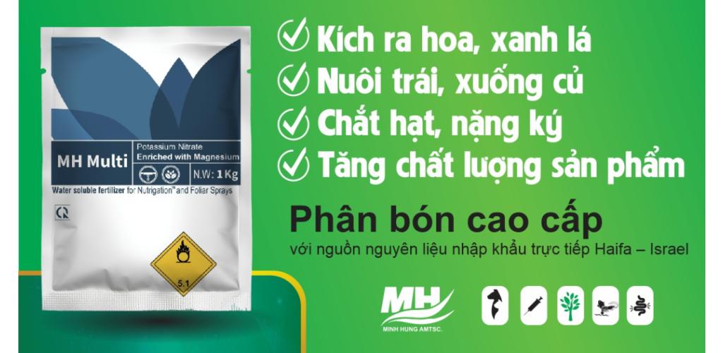 Multi - K Mg (MH Multi) Tăng Cường Quang Hợp, Kích Ra Hoa, Xanh Lá