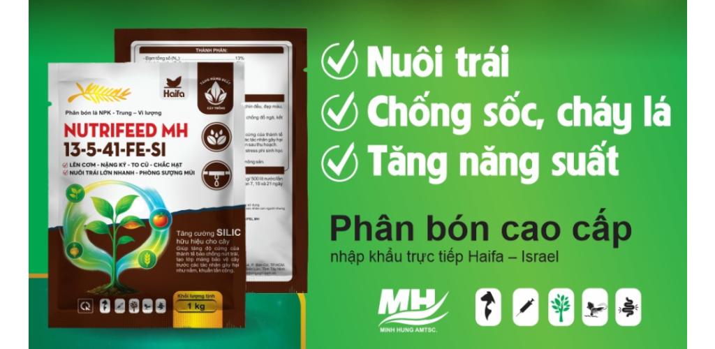 Nutrifeed MH 13-5-41-Fe-Si  _  Sự kết hợp hoàn hảo cùng Silic