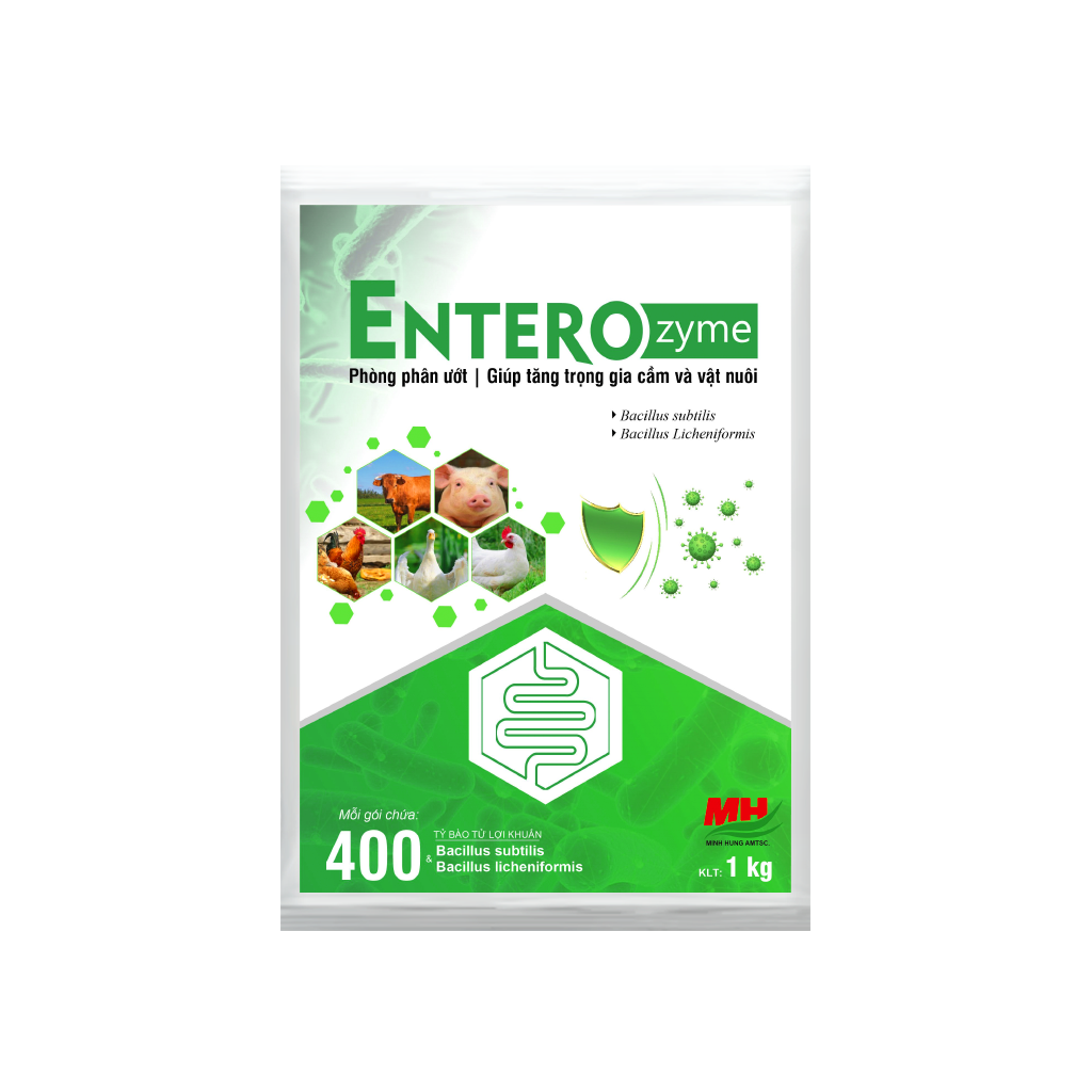 ENTEROZYME
