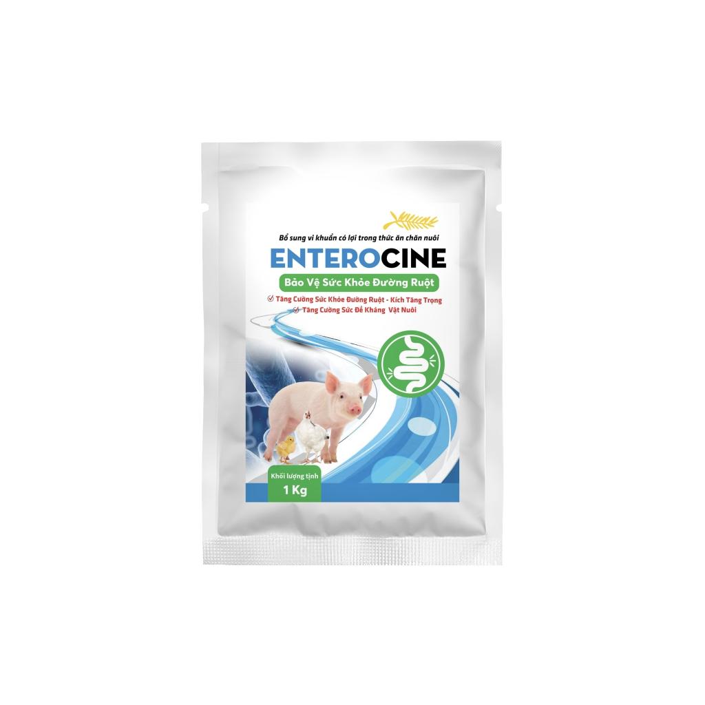 ENTEROCINE