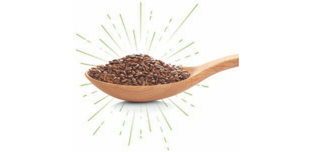 linPET – Thành phần ổn định cho công thức thức ăn thú cưng